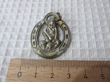 Lucky Pixie charm horseshoe