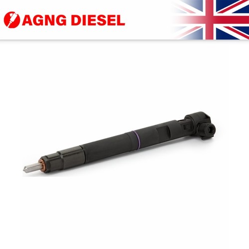 Delphi diesel injector - diesel,