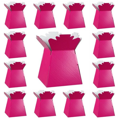 Fuchsia pink living vases - living,