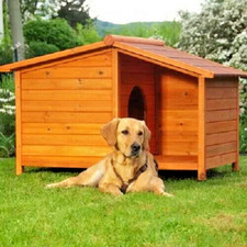 Large Outdoor Wooden Dog