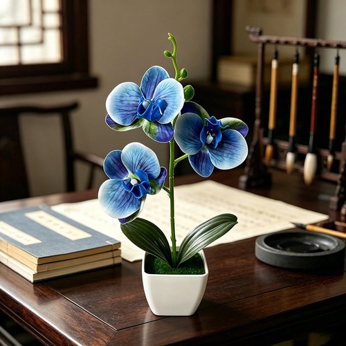 Contemporary potted orchid for - orchid,