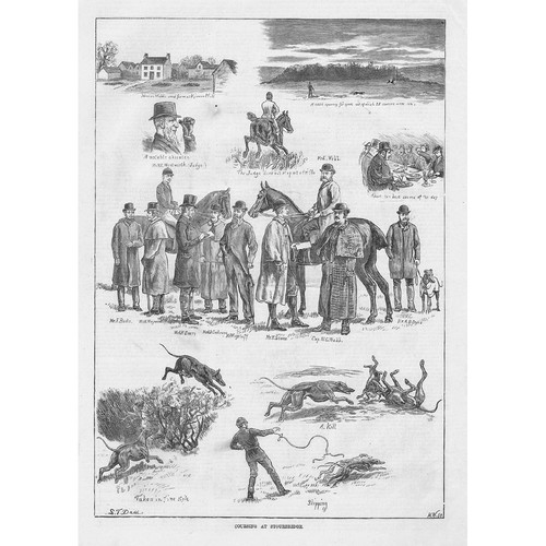 Coursing meeting at - coursing, a