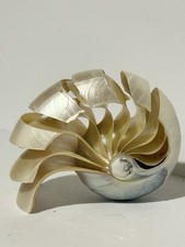 Hand Cut Carved Chambered