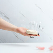 1X Glass Cloche Bell Jar