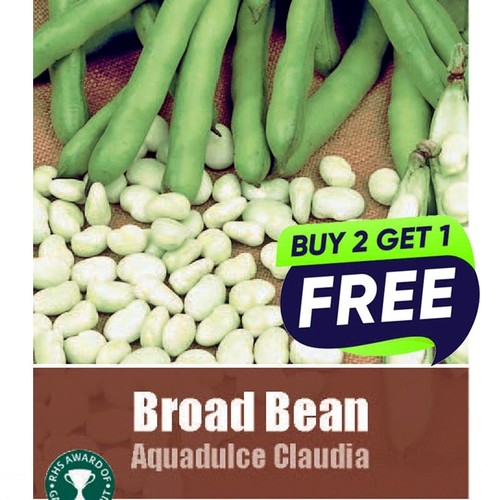 Broad bean aquadulce claudia - broad,
