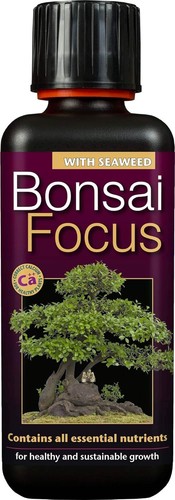 300ml bonsai focus nutrition - bonsai,