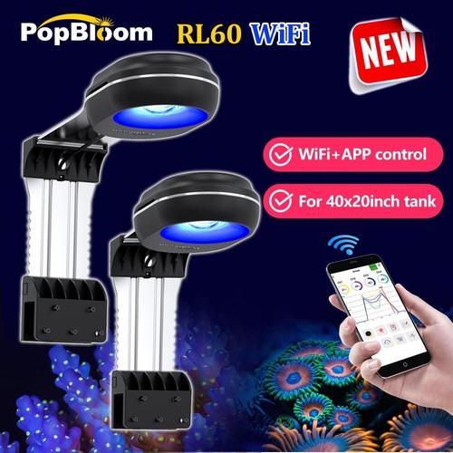 Popbloom marine led - marine,