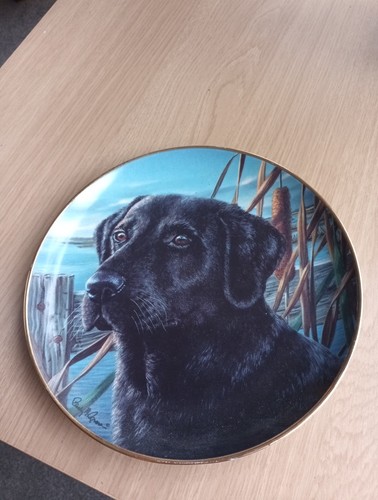 Vintage franklin mint labrador - vintage,