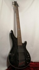 SCHECTER Damien Elite-5