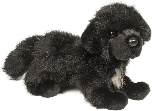 Douglas bundy newfoundland dog - newfoundland,