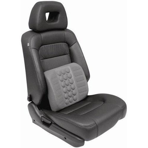 Streetwize universal fit back - fit,