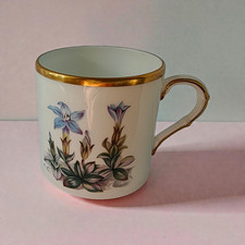 Royal Worcester Fine Bone