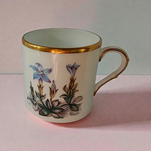 Royal worcester fine bone - royal,