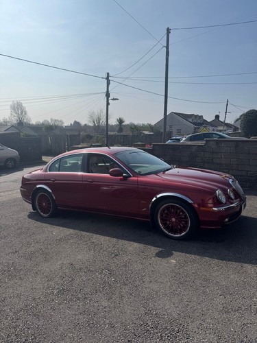 Jaguar type - jaguar, s