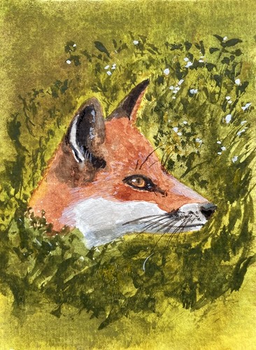Original watercolour fox - watercolour,