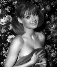 Christa Linder 11" x 8.5" inch Glossy Photo No107