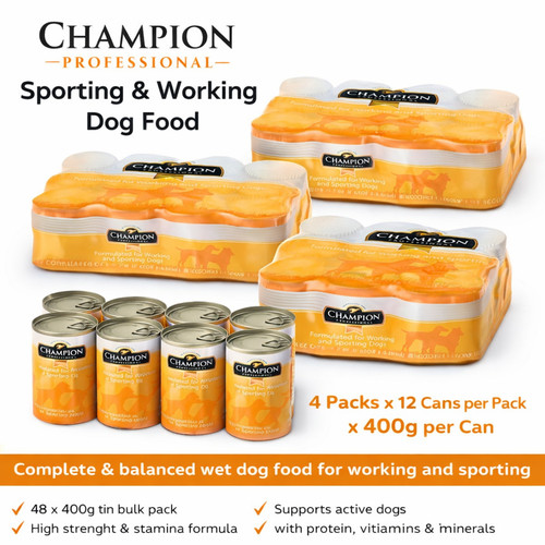Champion professional sporting - professional,