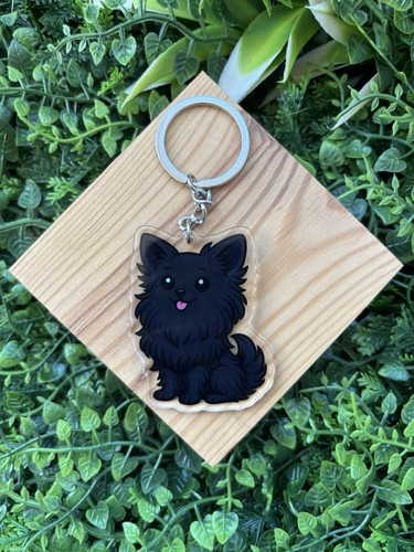 Black pomeranian dog - black,