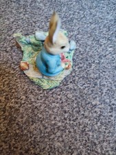 Peter Rabbit In The Garden