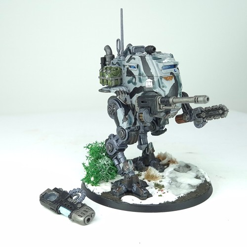 Sentinel painted astra - sentinel,