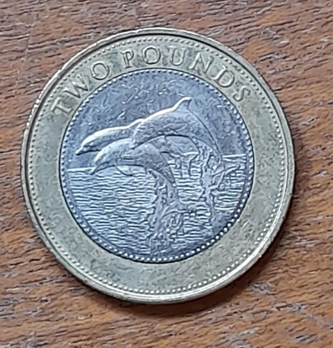2014 gibraltar dolphin two - 2014,