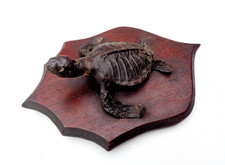 Antique Victorian Amphibian
