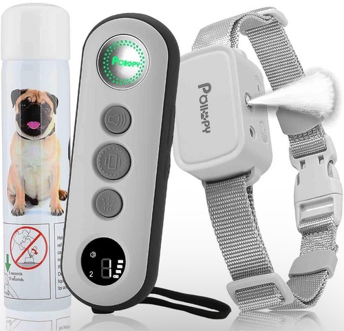 Dog training collar - training, with