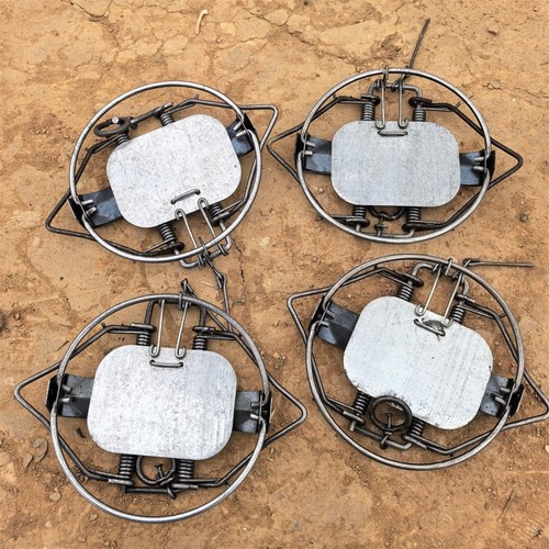 4pc 12in 13cm coil spring - coil,