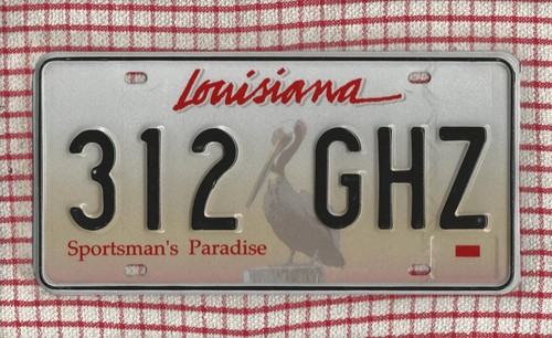 Louisiana pelican american - pelican,