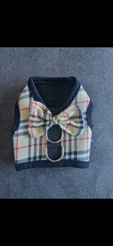 Chihuahua harness small - chihuahua, xs