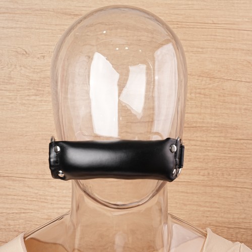 Mouth bit bone - bit, harness