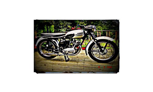 1959 triumph tiger cub bike - triumph,