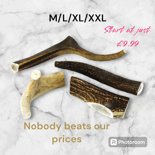 Scottish antlers dog chews - antlers,,