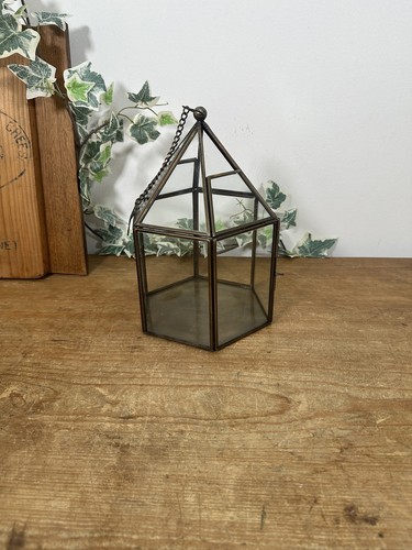 Glass hexagon terrarium - hexagon, for