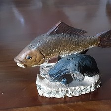The Anglers Showcase