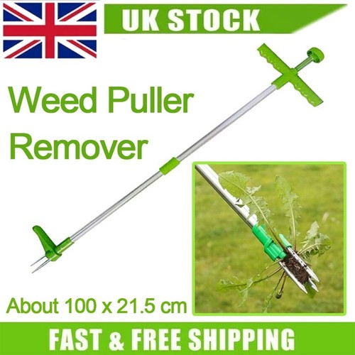 Lawn weed puller remover - weed,