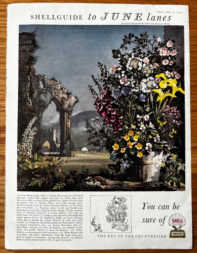 Edith rowland hilder flowers - edith, &