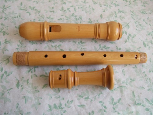 Moeck rottenburgh 249 tenor - rottenburgh,