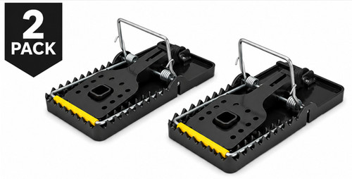 Rat traps that kill - traps,