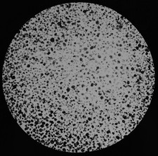 FORAMINIFERA AT 2900 FATHOMS