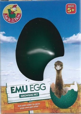 Growing pet emu - growing,