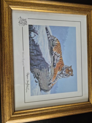 Stephen gayford wild - gayford, art