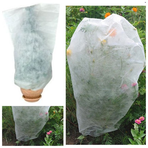 Frost plant protection - x,