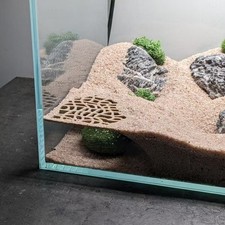 Aquarium Underground Hiding