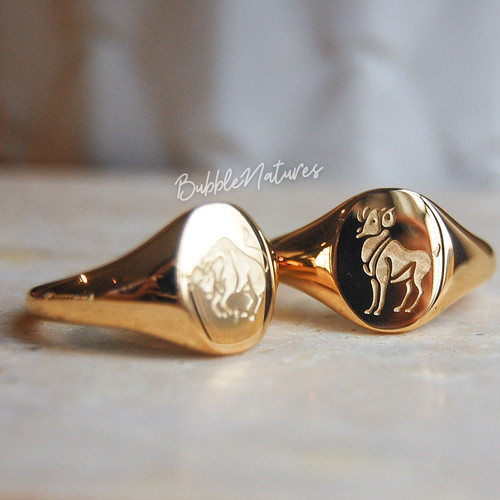 Statement signet ring - signet,