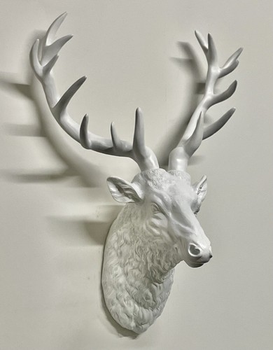 Large stag head - head, /