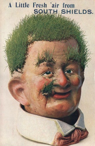 Vintage wildt kray a little - wildt,