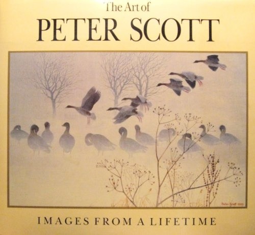 The art peter scott - art,
