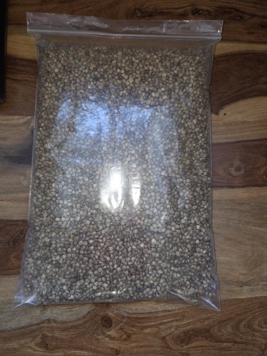 Giant hempseed - giant,
