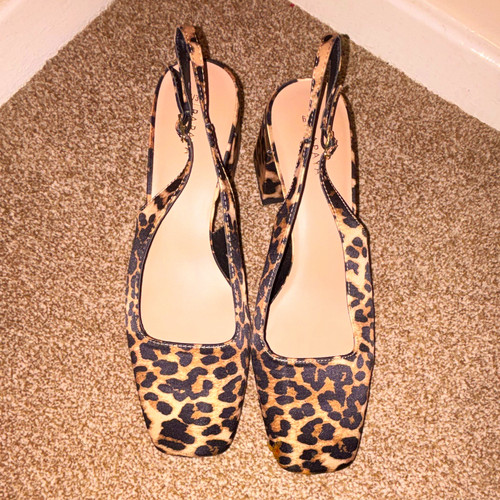 Papaya leopard animal - leopard,